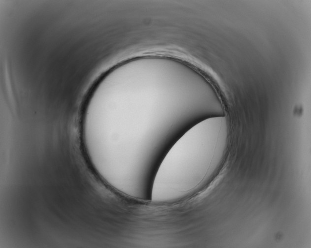 X0000103411506200809120935