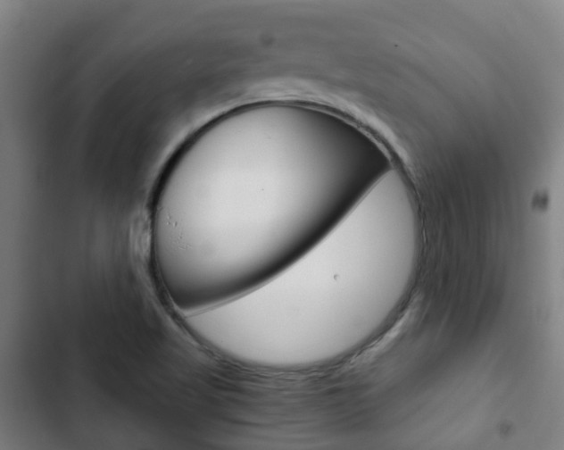 X0000103411509200809120935