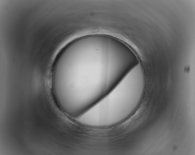X0000103411510200809120935