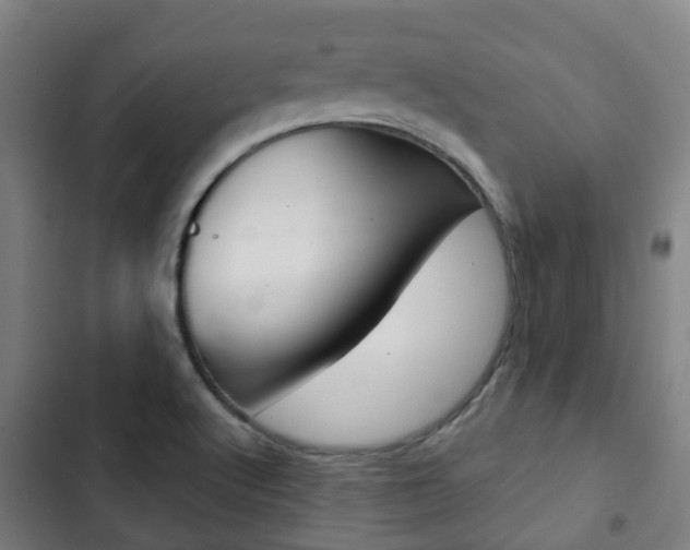X0000103411512200809120935