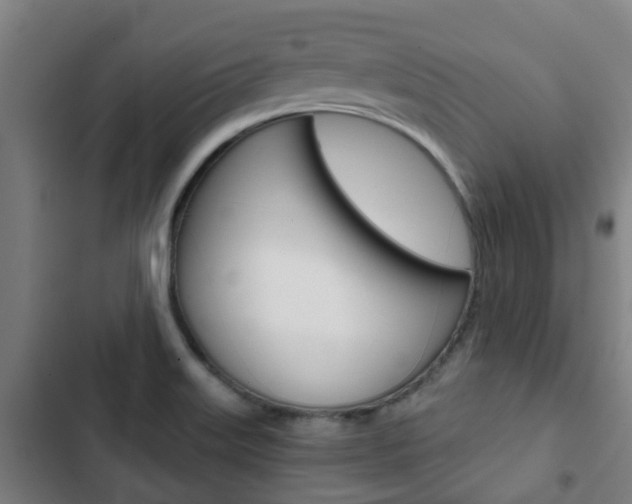 X0000103411515200809120935