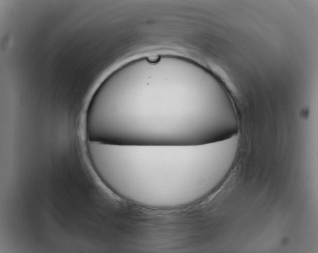 X0000103411516200809120935