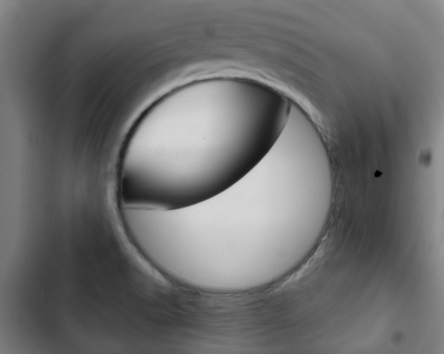 X0000103411518200809120936