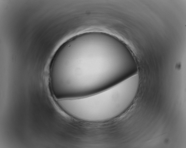 X0000103411519200809120936