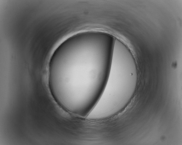 X0000103411520200809120936