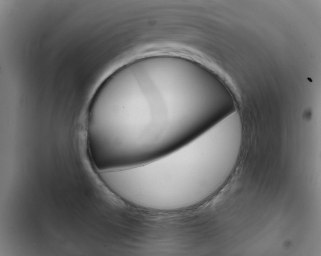 X0000103411522200809120936