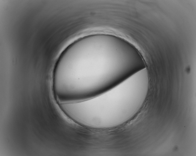 X0000103411523200809120936