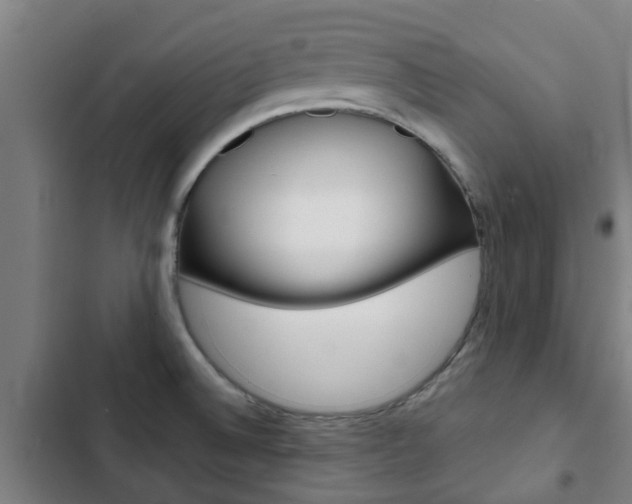 X0000103411524200809120936