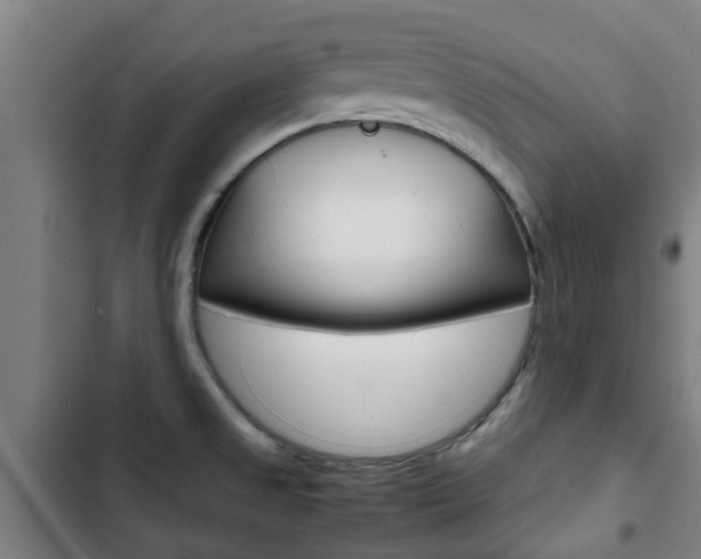 X0000103411525200809120936