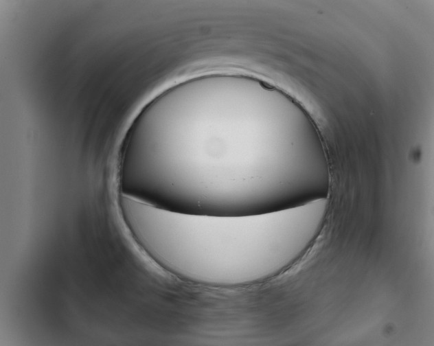 X0000103411526200809120936