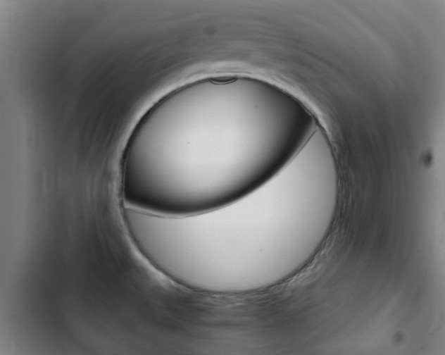 X0000103411527200809120936