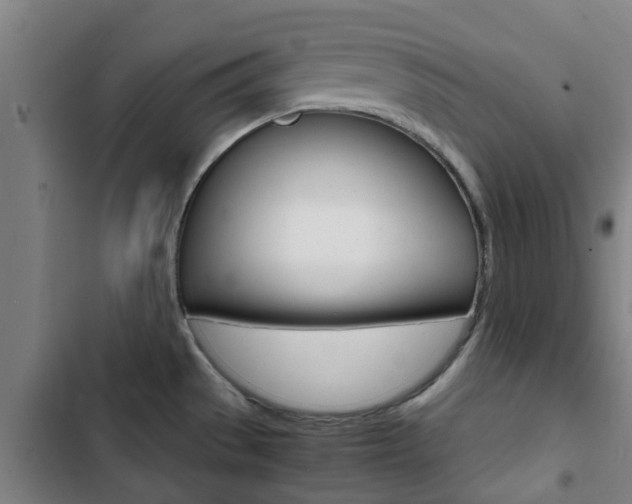 X0000103411529200809120936