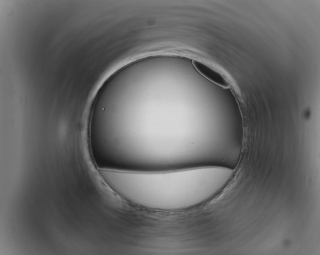 X0000103411530200809120936