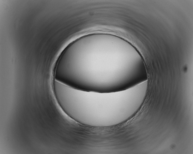 X0000103411531200809120936