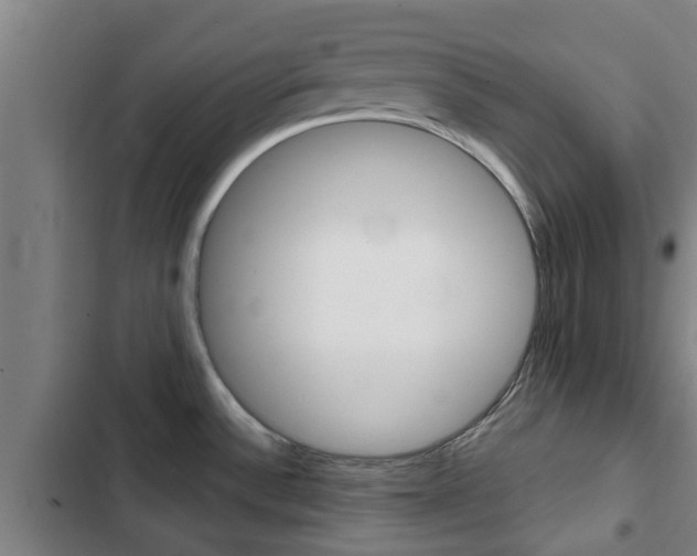 X0000103411532200809120936