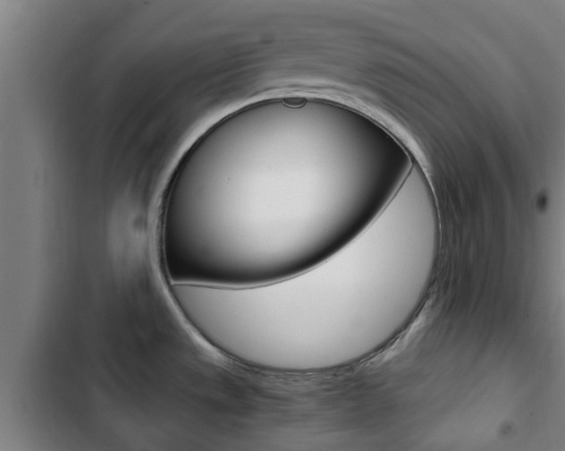 X0000103411533200809120936