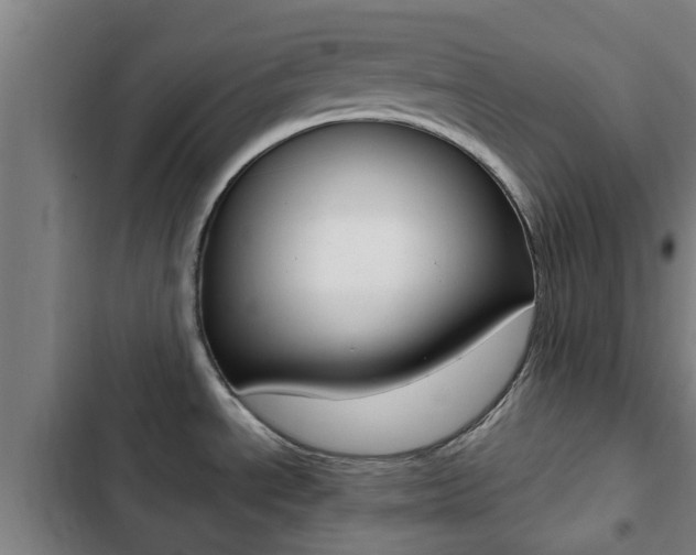 X0000103411534200809120936