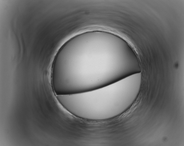 X0000103411535200809120936