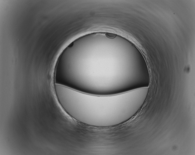X0000103411536200809120936