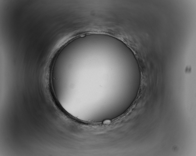 X0000103410005200809121316