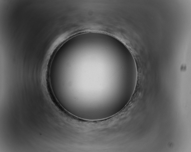 X0000103410007200809121316