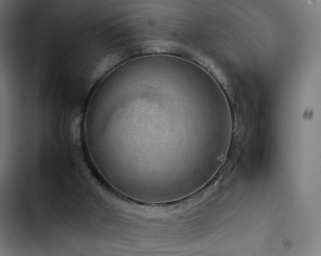 X0000103410010200809121316