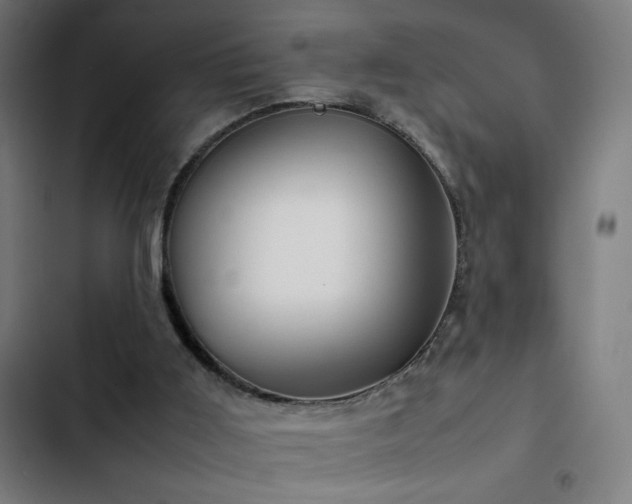 X0000103410011200809121316