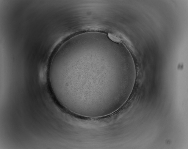 X0000103410012200809121316