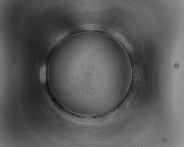 X0000103410014200809121316