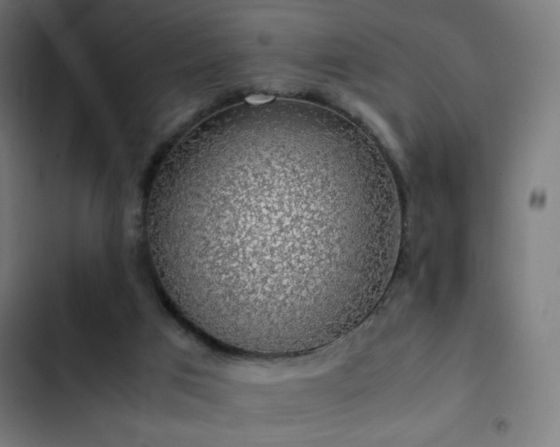 X0000103410017200809121316