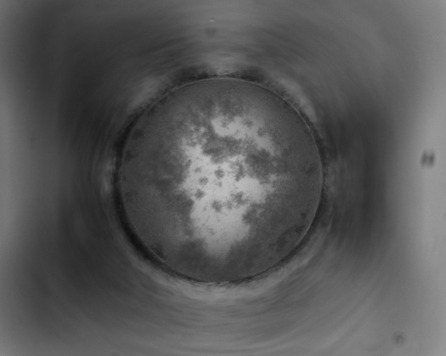 X0000103410018200809121316