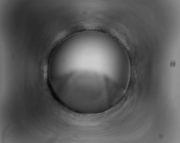 X0000103410019200809121316