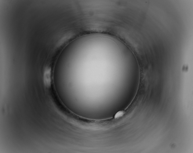 X0000103410020200809121316