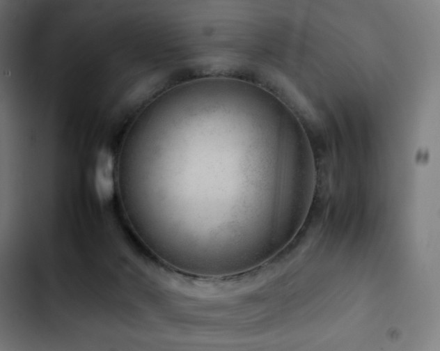 X0000103410022200809121316