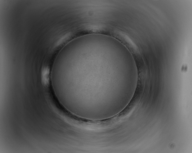 X0000103410024200809121316