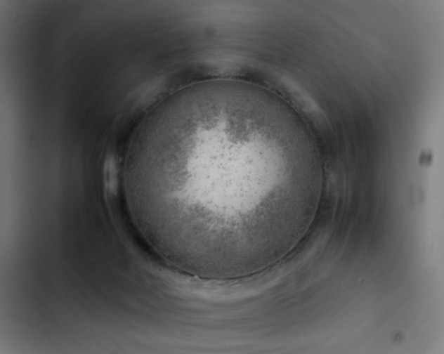 X0000103410026200809121316