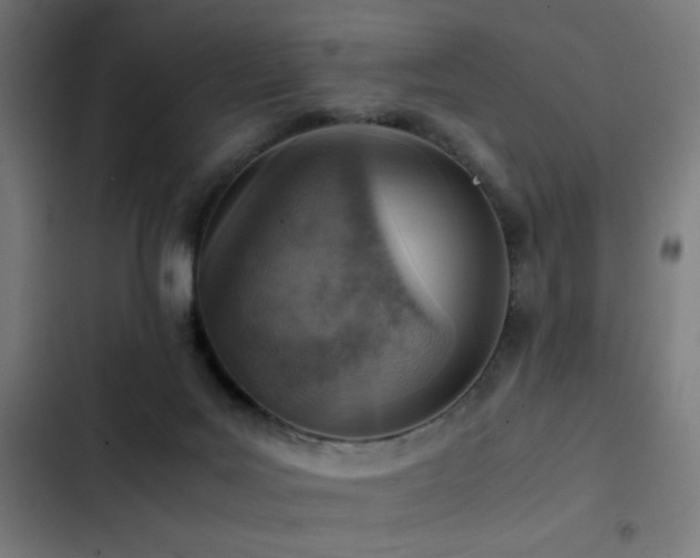 X0000103410027200809121316