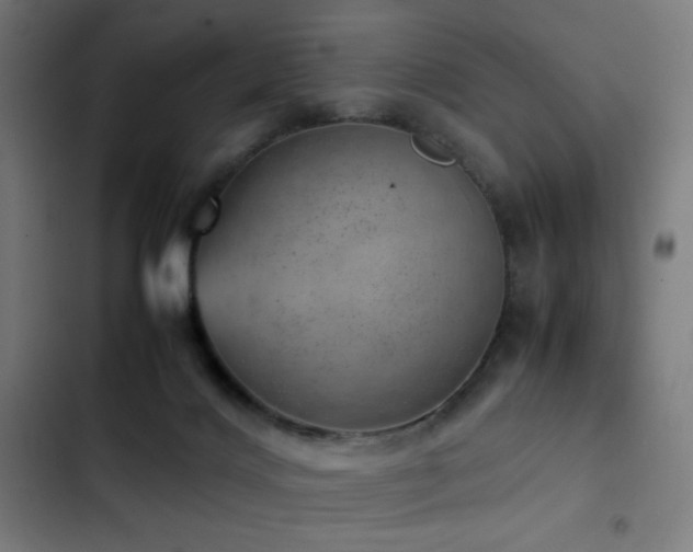 X0000103410028200809121315