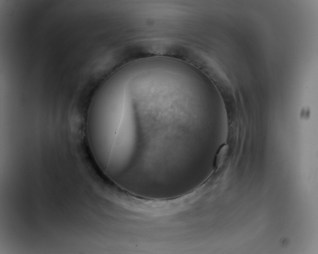 X0000103410031200809121315