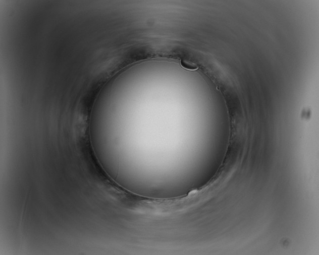 X0000103410033200809121315