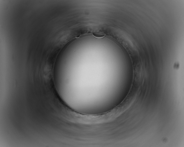 X0000103410034200809121315