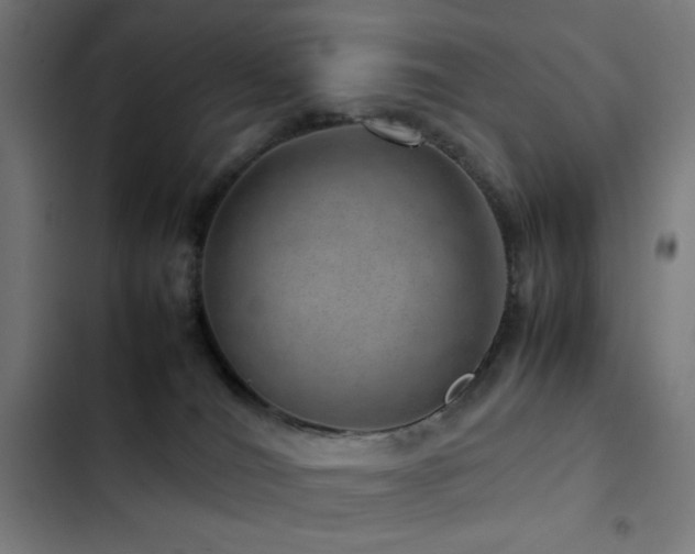 X0000103410036200809121315