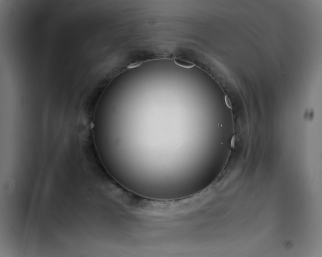 X0000103410037200809121315