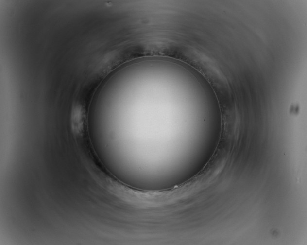 X0000103410038200809121315