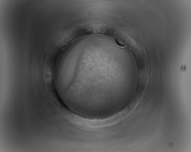 X0000103410039200809121315