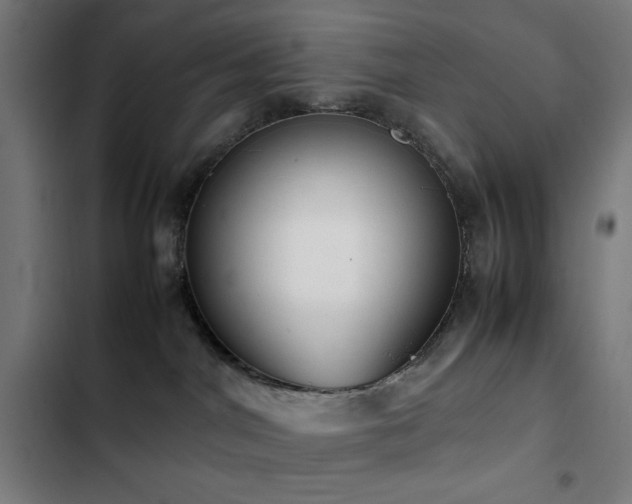 X0000103410044200809121315