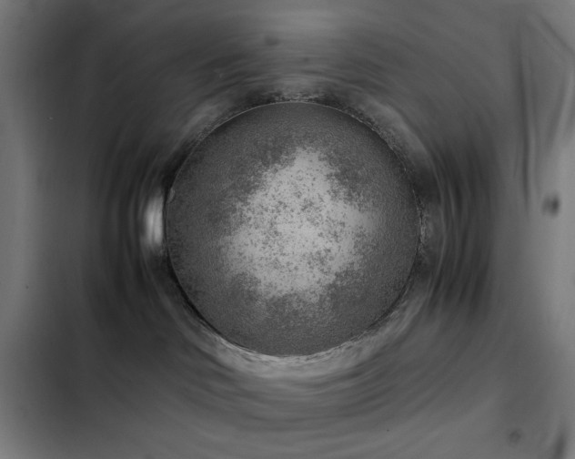 X0000103410046200809121315