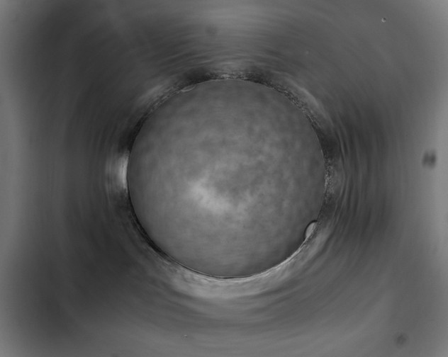 X0000103410047200809121315