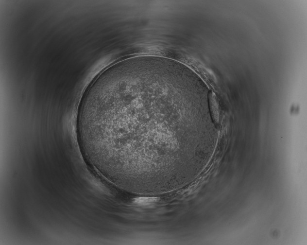 X0000103410051200809121315