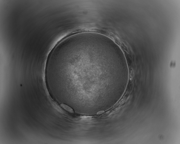 X0000103410052200809121315